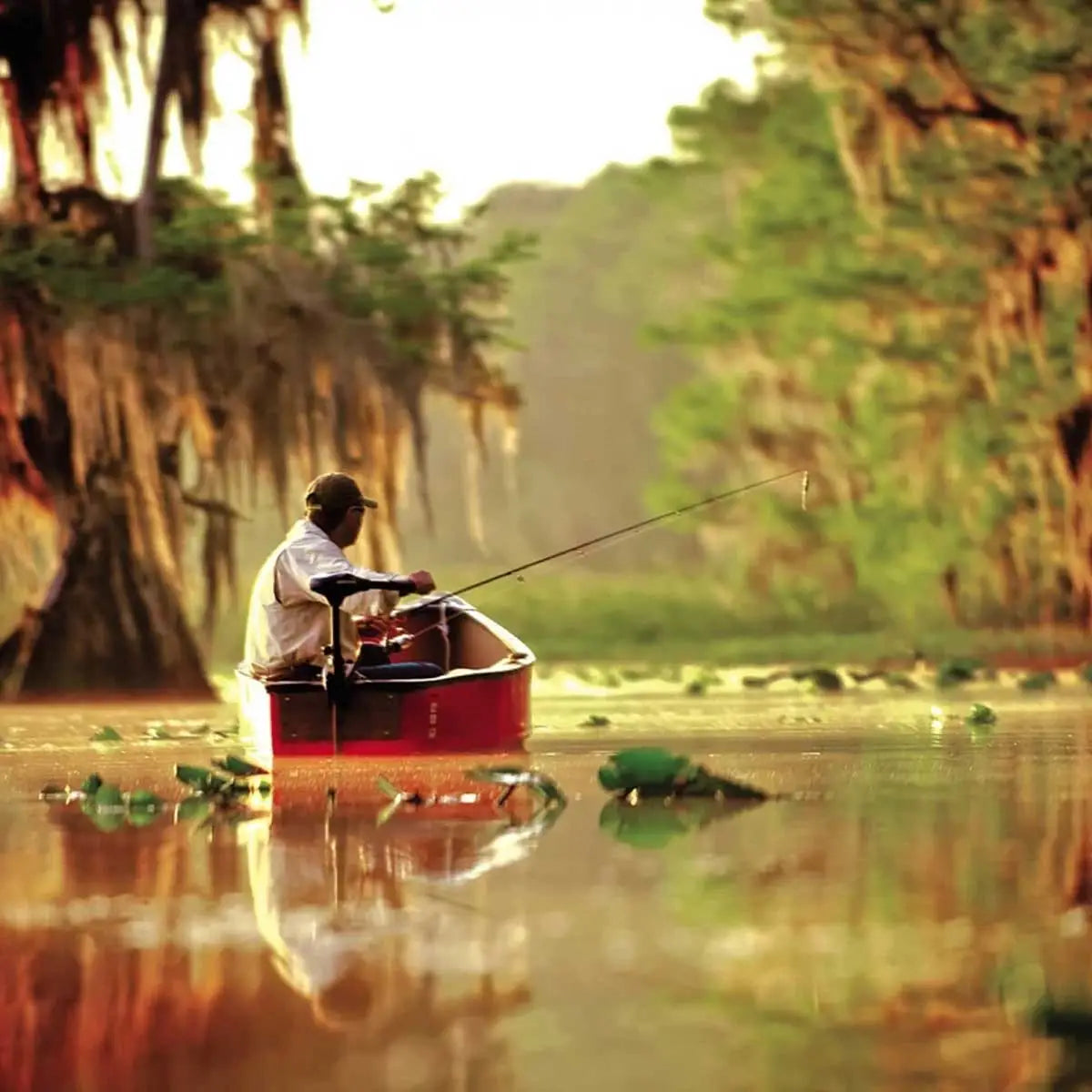 Endura C2 V2- 50 Lbs - 12V