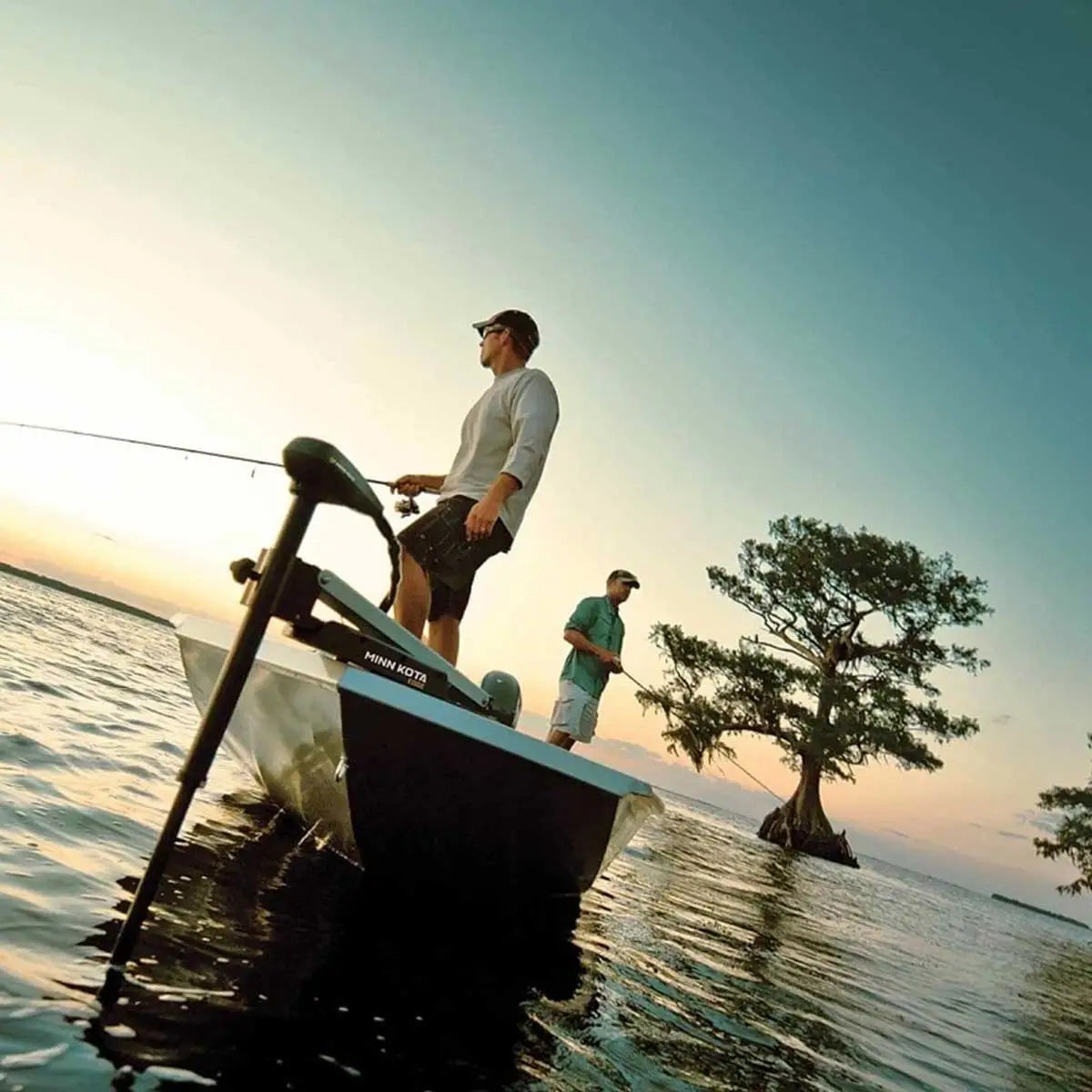 Edge 70 - 114 cm - 70 Lbs - 24Vcc