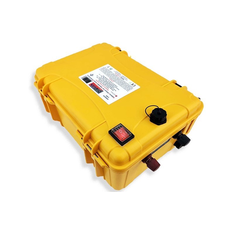 Batterie prolith plpr 24 volts 80 ah