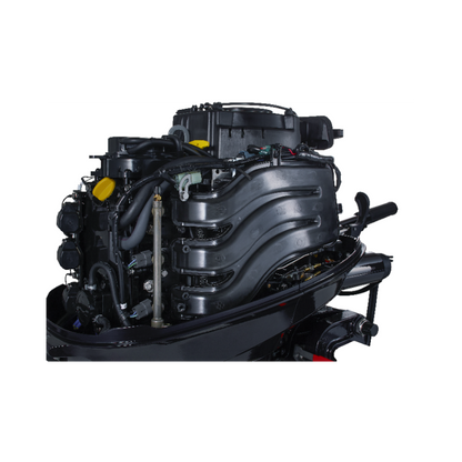 Moteur thermique Tohatsu MFS25D-ETL 4T