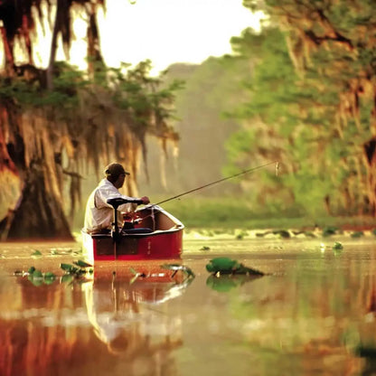 Endura C2 V2- 50 Lbs - 12V