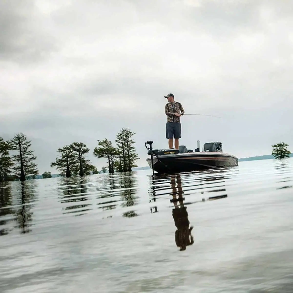 FORTREX 112/US2-114cm-112Lbs- 36Vcc