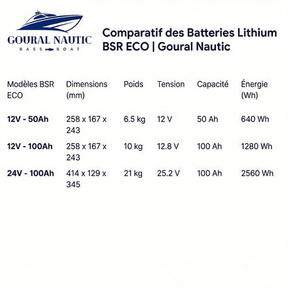 Batterie Lithium BSR ECO G2 (12v,24V)