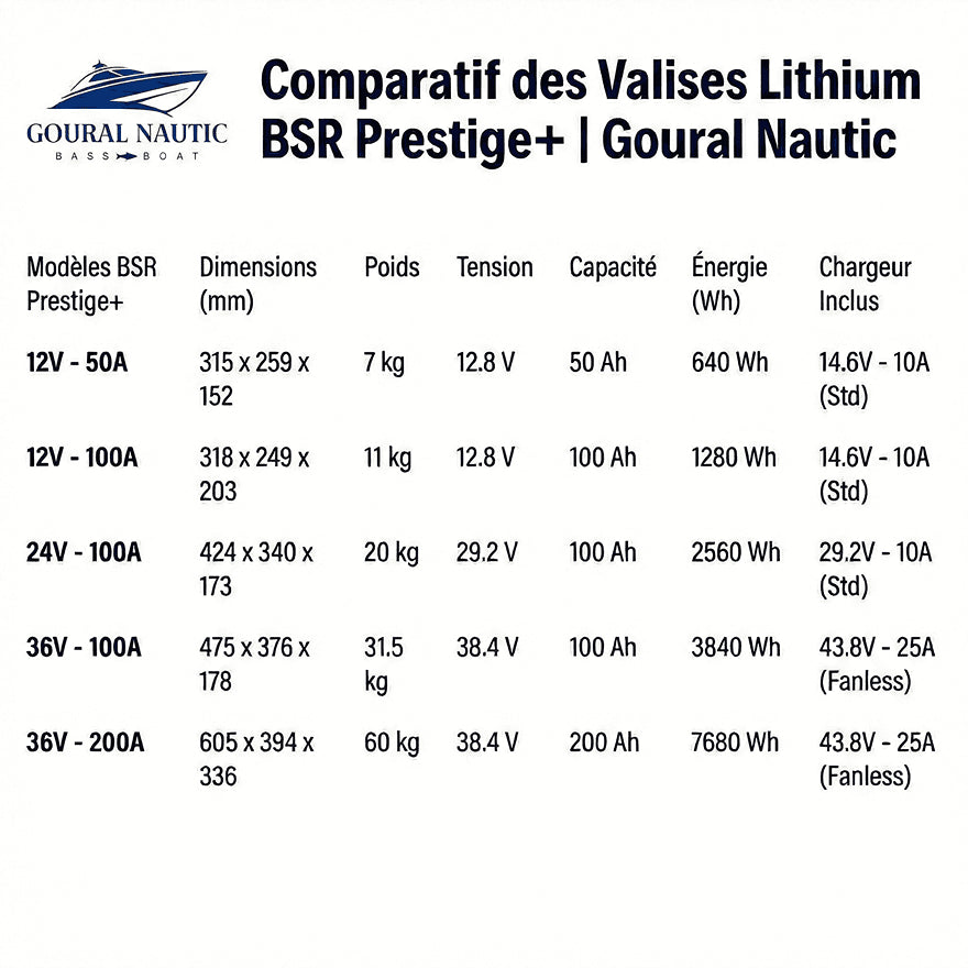 Batterie Lithium BSR Prestige+ G3 (12V, 24V, 36V)