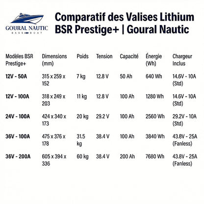 Batterie Lithium BSR Prestige+ G3 (12V, 24V, 36V)
